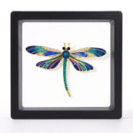 Brosă libelulă cu email colorat in cutie